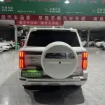 Tank Tank 500 New Energy 2024 из Китая