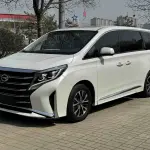 GAC Motor Trumpchi M8 2022 из Китая