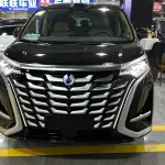 Denza Denza D9 2026 из Китая