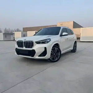 BMW X1 2024 из Китая