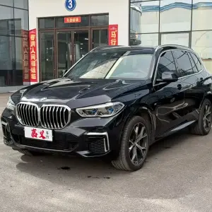 BMW X5 2022 333 л.с. 333 л.с. 333 л.с. 333 л.с. из Китая