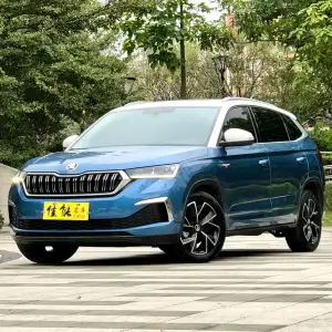 Skoda Kamiq 2020 116 л.с. из Китая