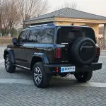 Tank Tank 300 2024 252 л.с. из Китая