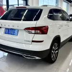 Skoda Kamiq 2023 из Китая