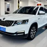 Skoda Kamiq 2023 из Китая