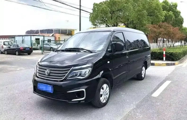 Fengxing Lingzhi 2020 из Китая