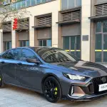 GAC Motor Shadow Leopard 2022 177 л.с. — лот 57663772 из Китая