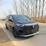 Roewe iMAX8 2021 из Китая