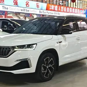 Skoda Kamiq 2022 из Китая