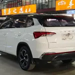 Skoda Kamiq 2022 из Китая