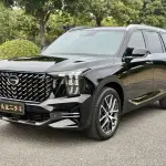 GAC Motor Trumpchi GS8 2024 252 л.с. 252 л.с. из Китая