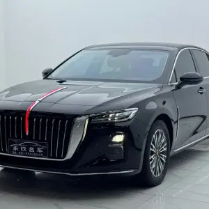 Hongqi Hongqi H5 2024 из Китая