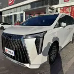 GAC Motor Trumpchi M8 2023 252 л.с. — лот 57671006 из Китая