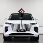 Hongqi Hongqi E-HS9 2023 лот 57672383 из Китая