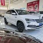 Skoda Karoq 2022 из Китая