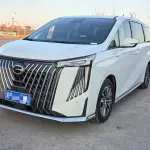 GAC Motor Trumpchi M8 2025 252 л.с. 252 л.с. 252 л.с. из Китая