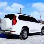 Haval H9 2019 из Китая