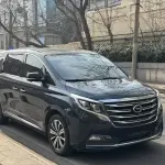 GAC Motor Trumpchi M8 2019 201 л.с. — лот 57733288 из Китая