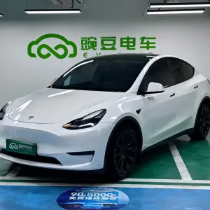 Tesla Model Y 2021 лот 57733927 из Китая