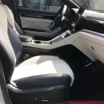 BYD PLUS New Energy 2023 из Китая