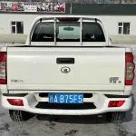 Great Wall Fengjun 5 2024 из Китая