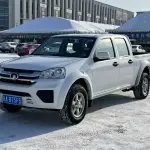 Great Wall Fengjun 5 2024 из Китая