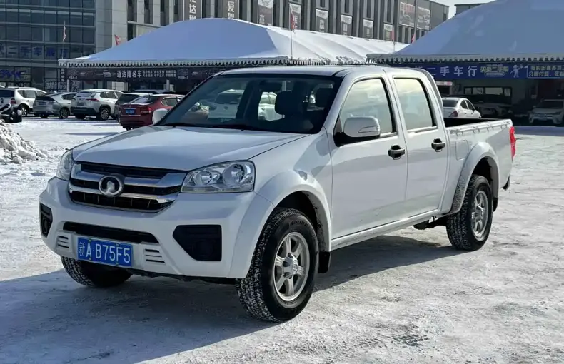 Great Wall Fengjun 5 2024 из Китая