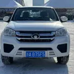 Great Wall Fengjun 5 2024 из Китая