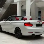 BMW 2 Series (Import) 2019 из Китая