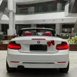 BMW 2 Series (Import) 2019 из Китая
