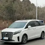 Buick GL8 2024 из Китая