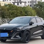 Oshan Oushang X5 PLUS 2023 из Китая