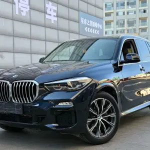 BMW X5 (Import) 2021 265 л.с. 265 л.с. из Китая