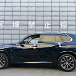 BMW X5 (Import) 2021 265 л.с. 265 л.с. из Китая