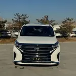 GAC Motor Trumpchi M8 2021 252 л.с. 252 л.с. 252 л.с. 252 л.с. 252 л.с. из Китая