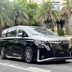 GAC Motor Trumpchi M8 2021 из Китая