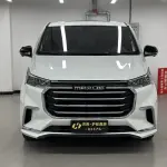 大通 G20 2020 из Китая