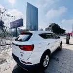 Fengguang Fengguang 580Pro 2019 из Китая