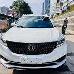 Fengguang Fengguang 580Pro 2019 из Китая