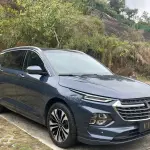 Wuling Victory 2021 из Китая