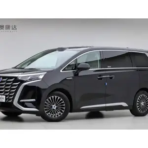 Denza Denza D9 2025 из Китая
