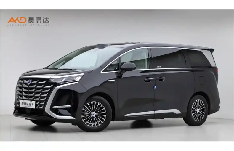 Denza Denza D9 2025 из Китая