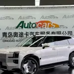 Zeekr 极氪9X 2026 из Китая