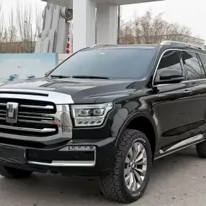 Tank Tank 500 New Energy 2024 из Китая