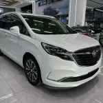 Buick GL8 2021 237 л.с. 237 л.с. 237 л.с. 237 л.с. 237 л.с. 237 л.с. из Китая