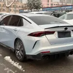 GAC Motor Shadow Leopard 2023 из Китая
