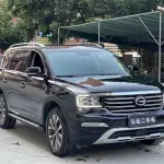 GAC Motor Trumpchi GS8 2018 201 л.с. 201 л.с. 201 л.с. из Китая