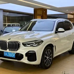 BMW X5 (Import) 2020 265 л.с. — лот 57776753 из Китая