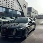 Hongqi Hongqi H5 2023 224 л.с. — лот 57777236 из Китая