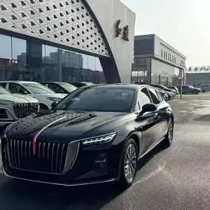 Hongqi Hongqi H5 2023 из Китая